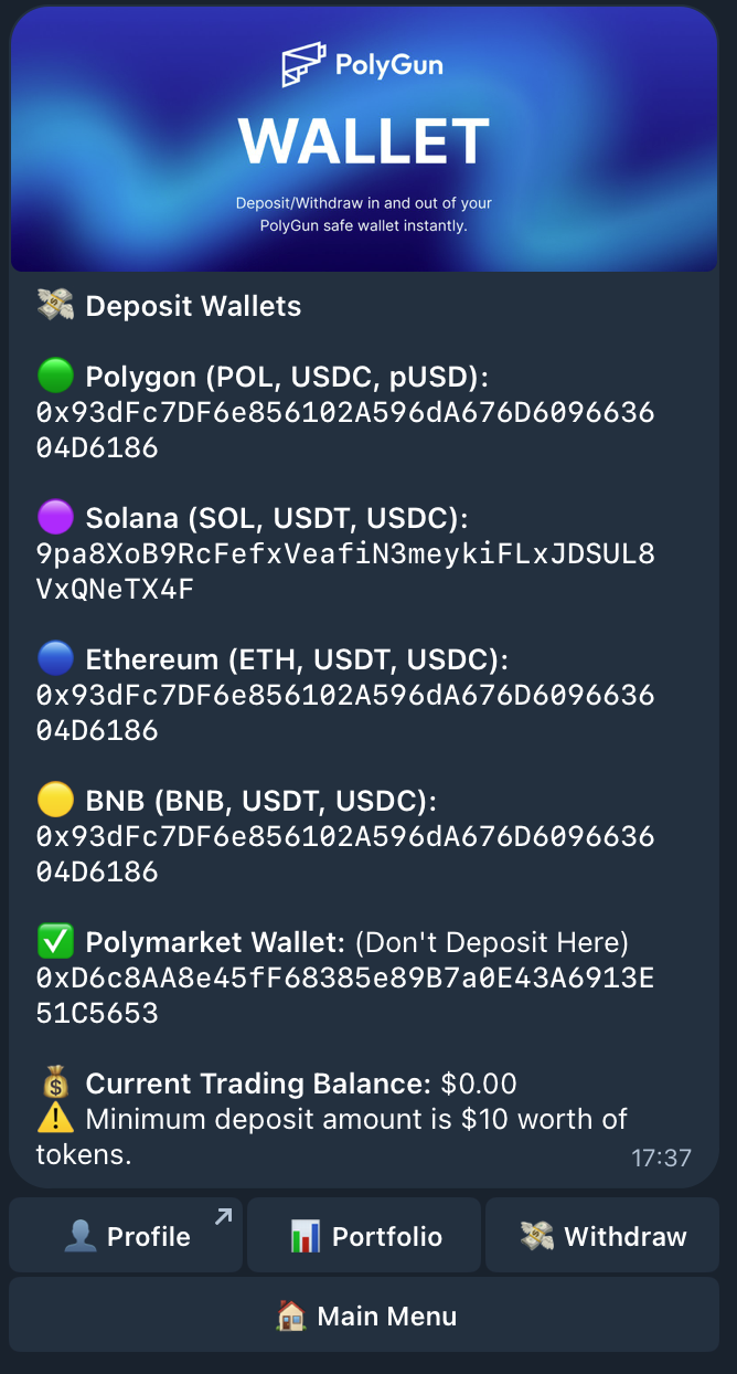 PolyGun multi-chain wallet screen with Polygon, Solana, Ethereum, BNB deposit addresses